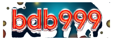 bdb999 logo
